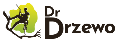 Dr Drzewo – Pielęgnacja i wycinka drzew. Usługi arborystyczne.